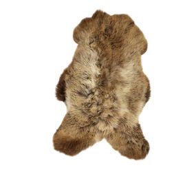 Sheepskin of the Blue Texel sheep breed - Order online - Brown grey