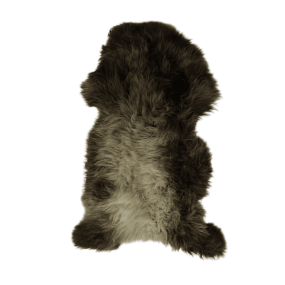 Grey-blue, white Sheepskin of the Blue Texel - Buy Sheepskin online